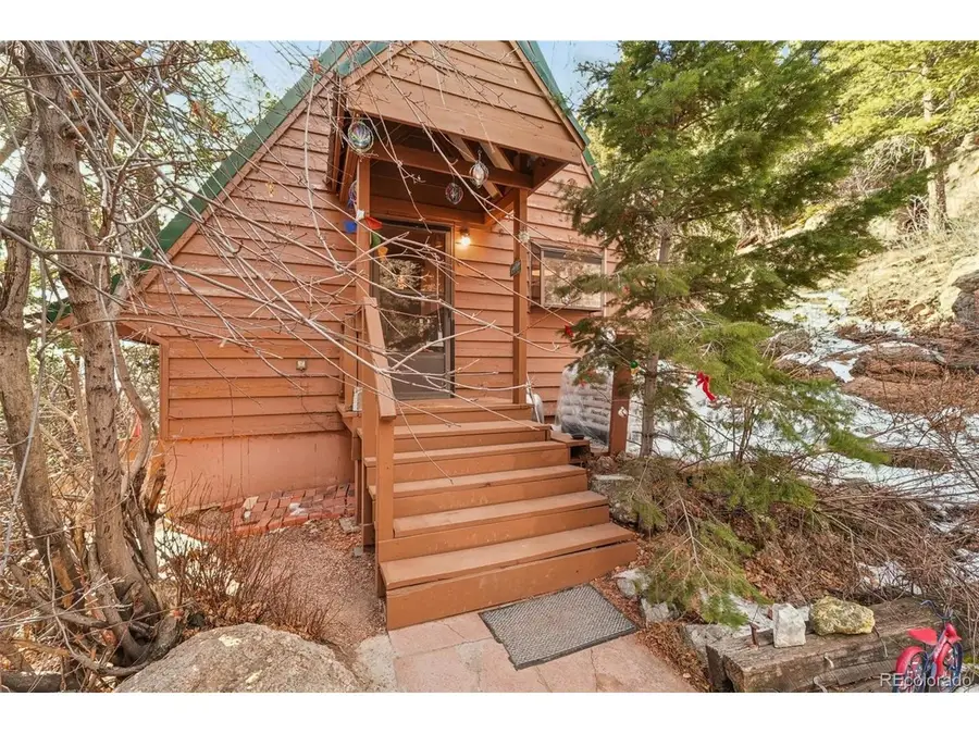 30874 Kings Valley Dr, Conifer, CO 80433 - #3