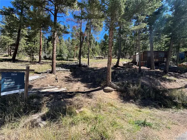26460 Pleasant Park Rd, Conifer, CO 80433