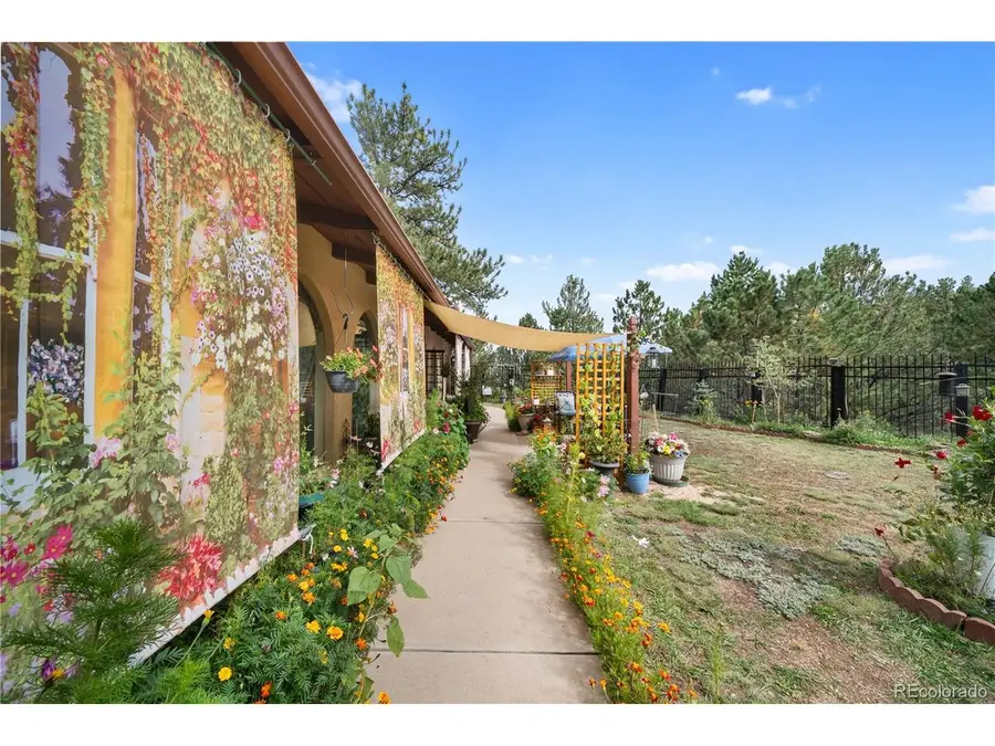 2400 County Road 43, Bailey, CO 80421 - #3