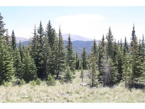 1480 Roberts Rd, Fairplay, CO 80440