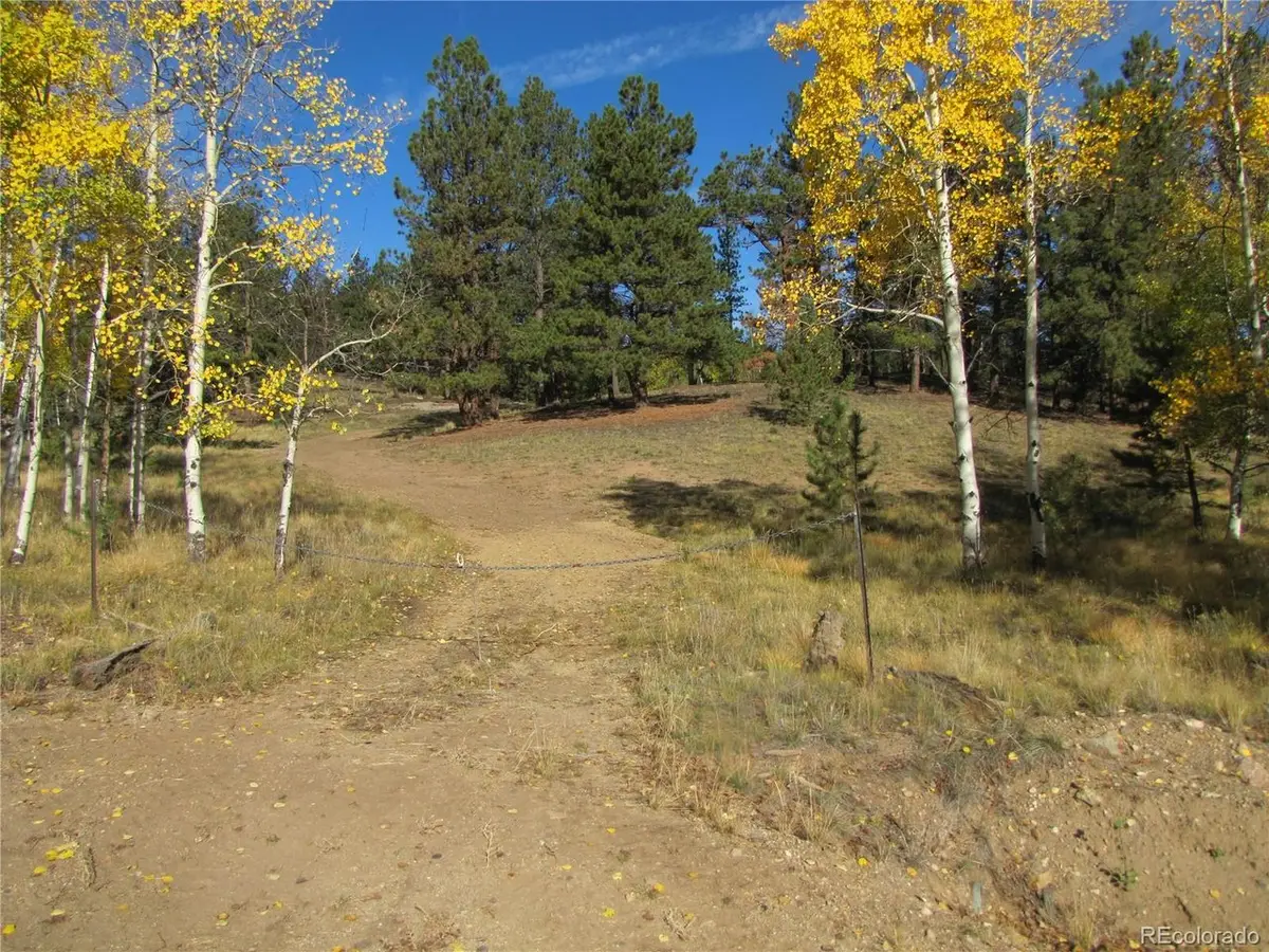 666 Bellows Rd, Hartsel, CO 80449 - #1