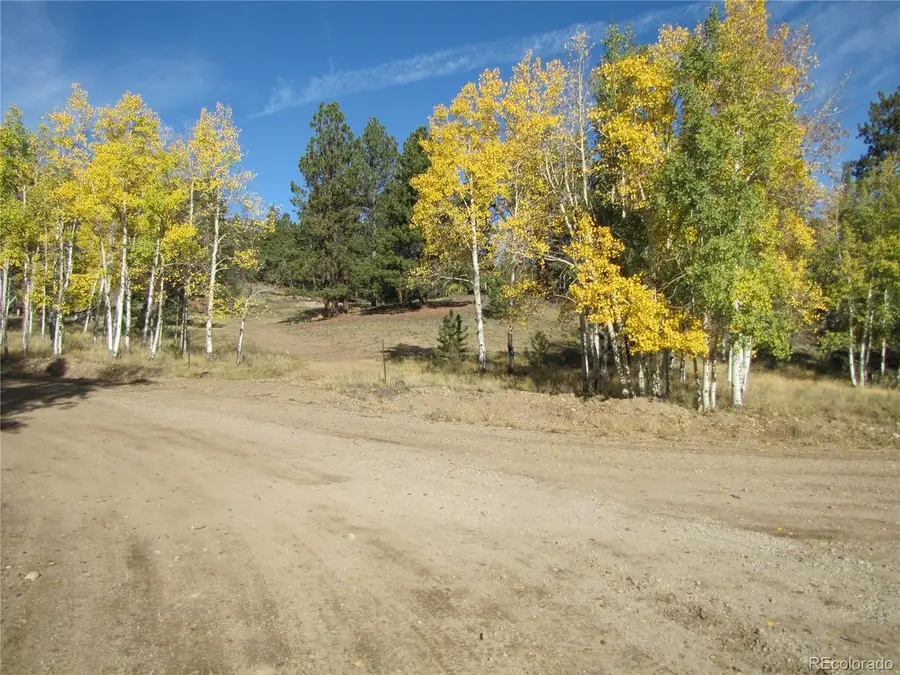 666 Bellows Rd, Hartsel, CO 80449 - #2