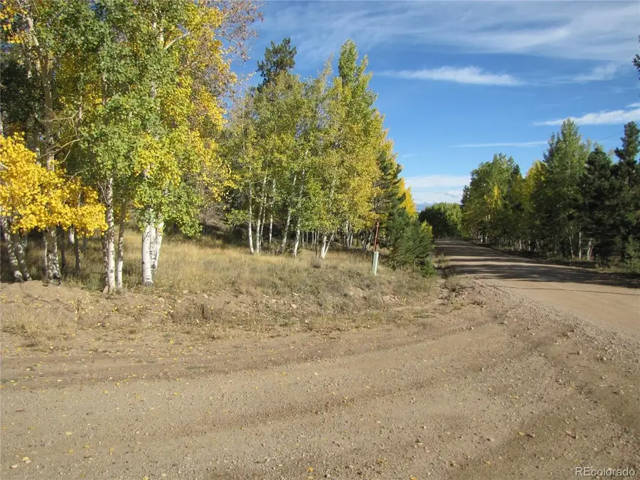 666 Bellows Rd, Hartsel, CO 80449 - #3