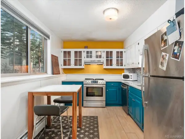 550 S French St #G1, Breckenridge, CO 80424