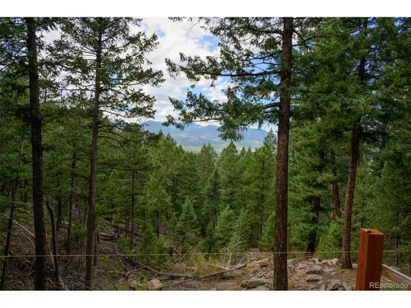 Fern Gulch Lot 14 Rd, Evergreen, CO 80439