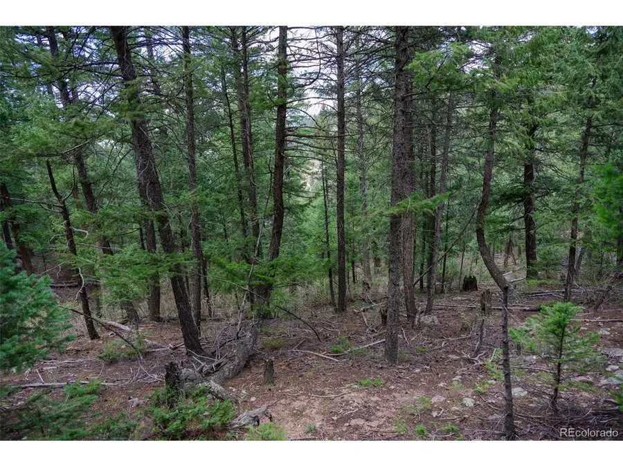 Fern Gulch Lot 14 Rd, Evergreen, CO 80439 - #2