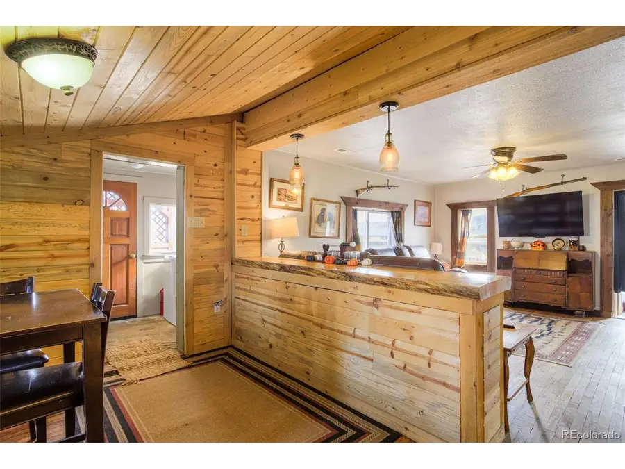 73 Mid Land Ave, Hartsel, CO 80449 - #3
