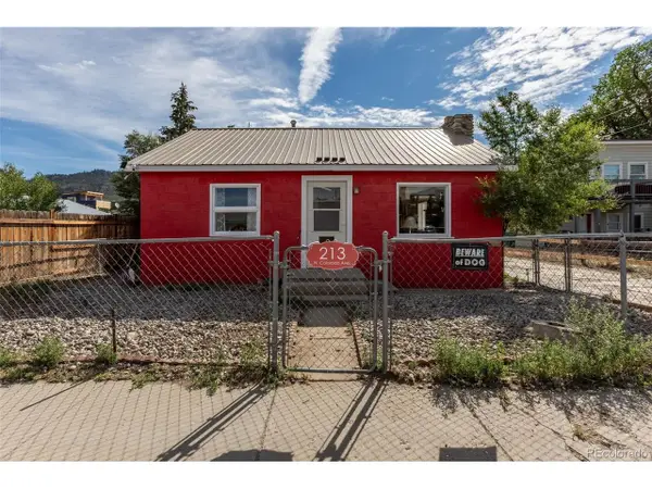 213 N Colorado Ave, Buena Vista, CO 81211
