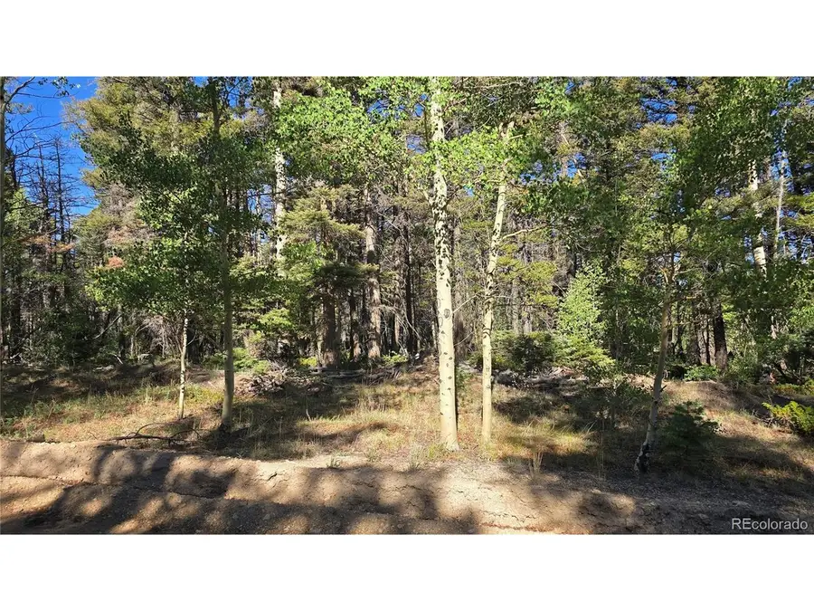 Address Withheld By Seller, Fort Garland, CO 81133 - #2