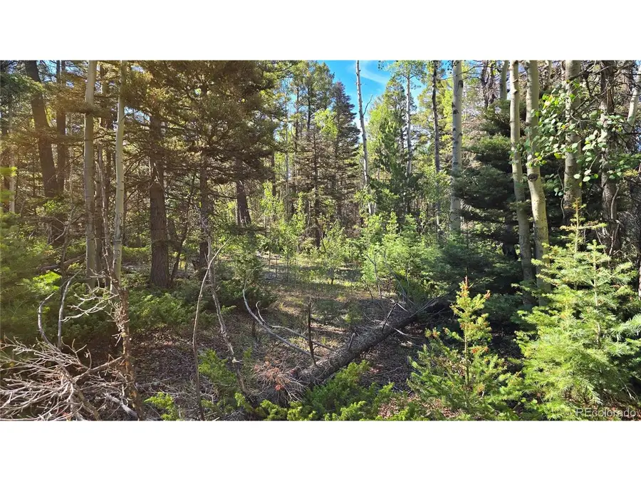 Address Withheld By Seller, Fort Garland, CO 81133 - #3