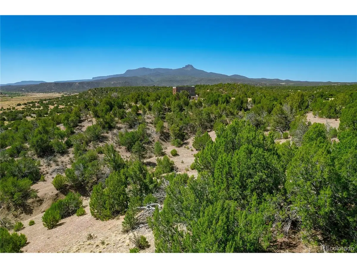 37300 Kunzite Rd, Trinidad, CO 81082 - #1