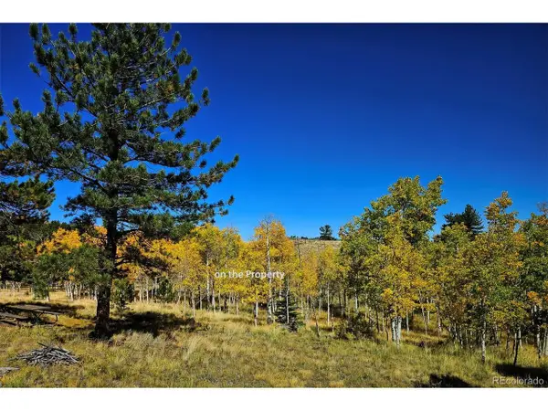 51 Singletree Ln, Hartsel, CO 80449