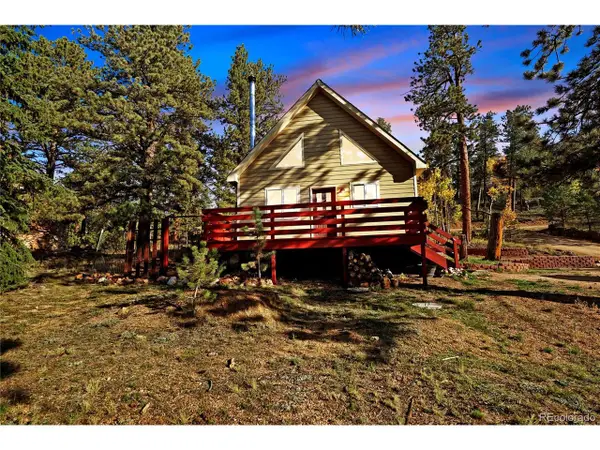 68 Jones Rd, Bailey, CO 80421