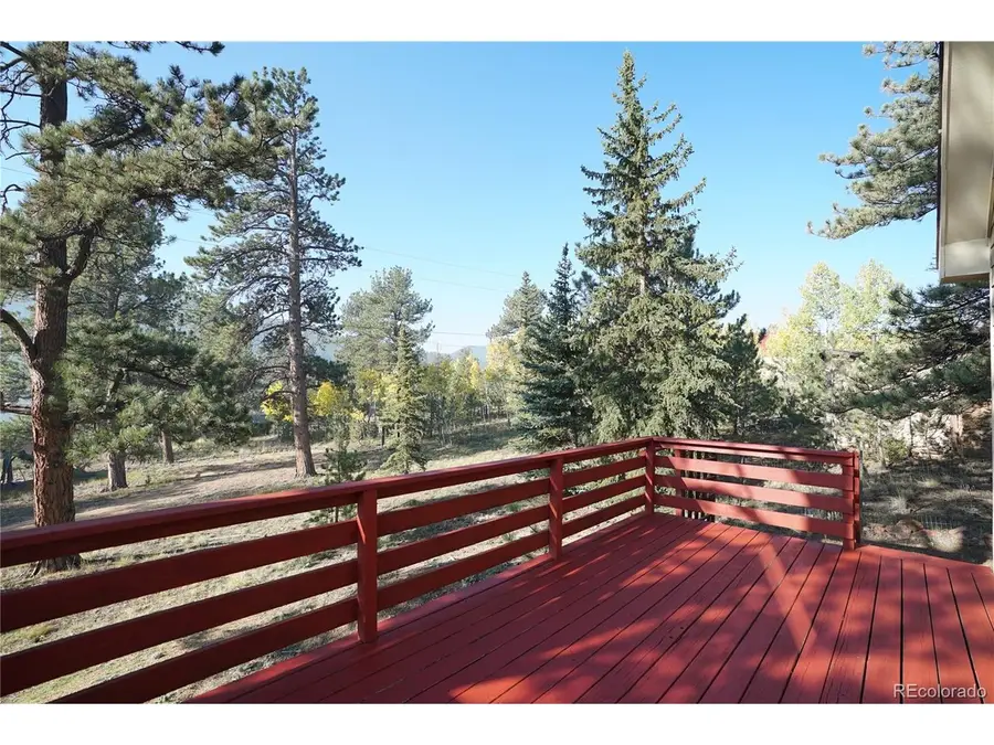 68 Jones Rd, Bailey, CO 80421 - #3