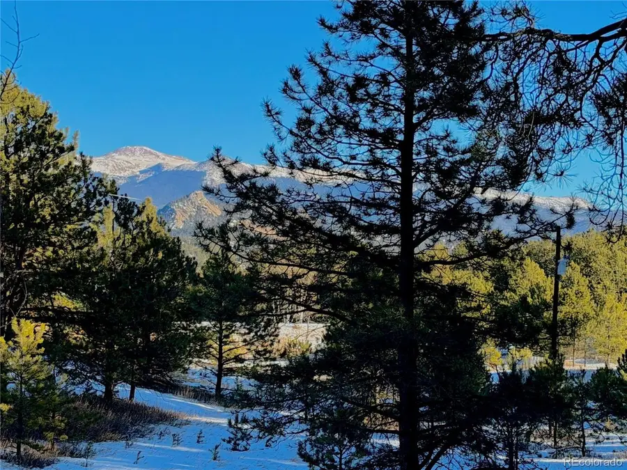 919 Matterhorn Dr, Florissant, CO 80816 - #2