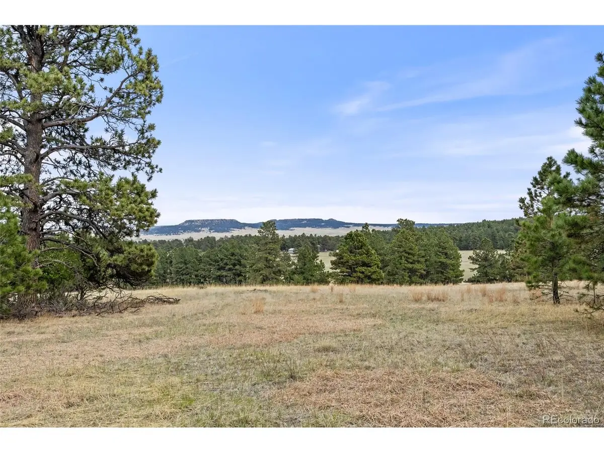 8653 N Teacup Rd, Elbert, CO 80106 - #1