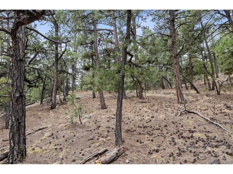 8653 N Teacup Rd, Elbert, CO 80106 - #2