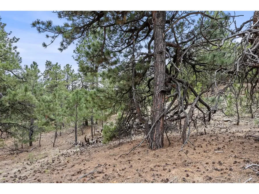 8653 N Teacup Rd, Elbert, CO 80106 - #3