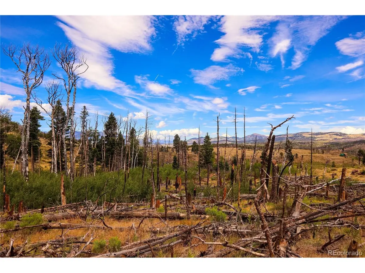 768 Shepard Pl, Fort Garland, CO 81133 - #1