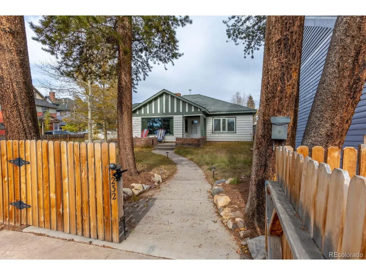 232 W 8th St, Leadville, CO 80461 - #1