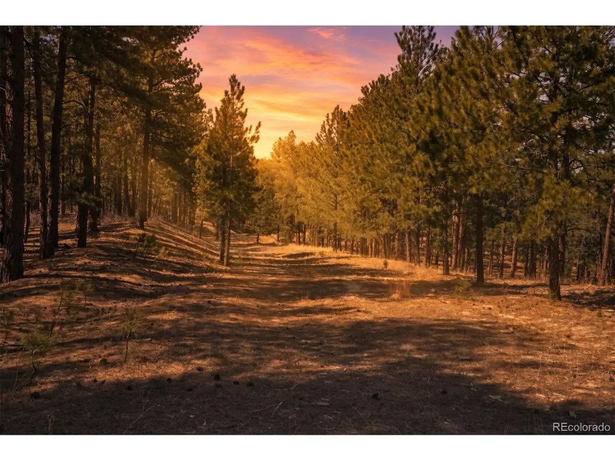 Wood Sorrel Rd, Larkspur, CO 80118 - #1