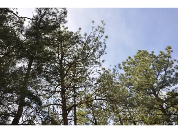 Wood Sorrel Rd, Larkspur, CO 80118