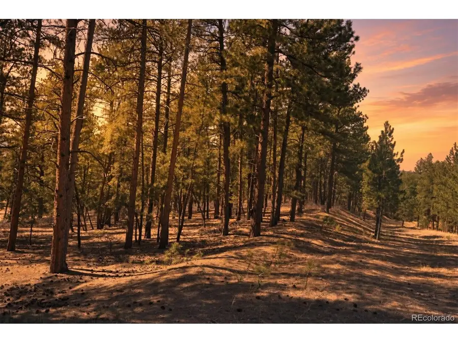 Wood Sorrel Rd, Larkspur, CO 80118 - #3