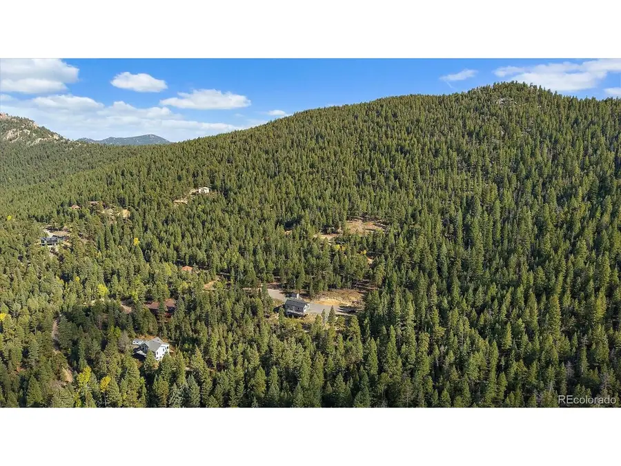 33884 Bergen View Trl, Evergreen, CO 80439 - #3