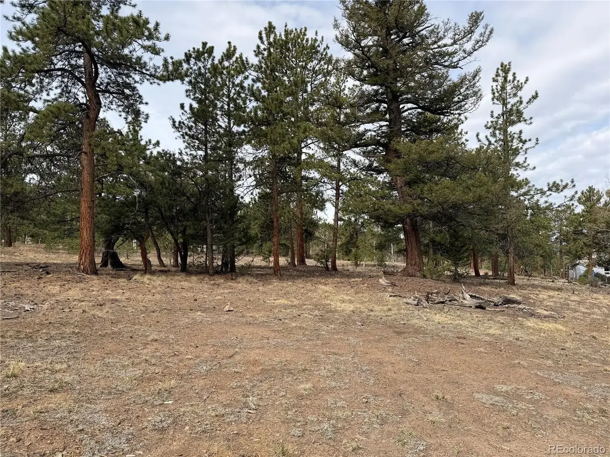 Chubb Ct, Buena Vista, CO 81211 - #1
