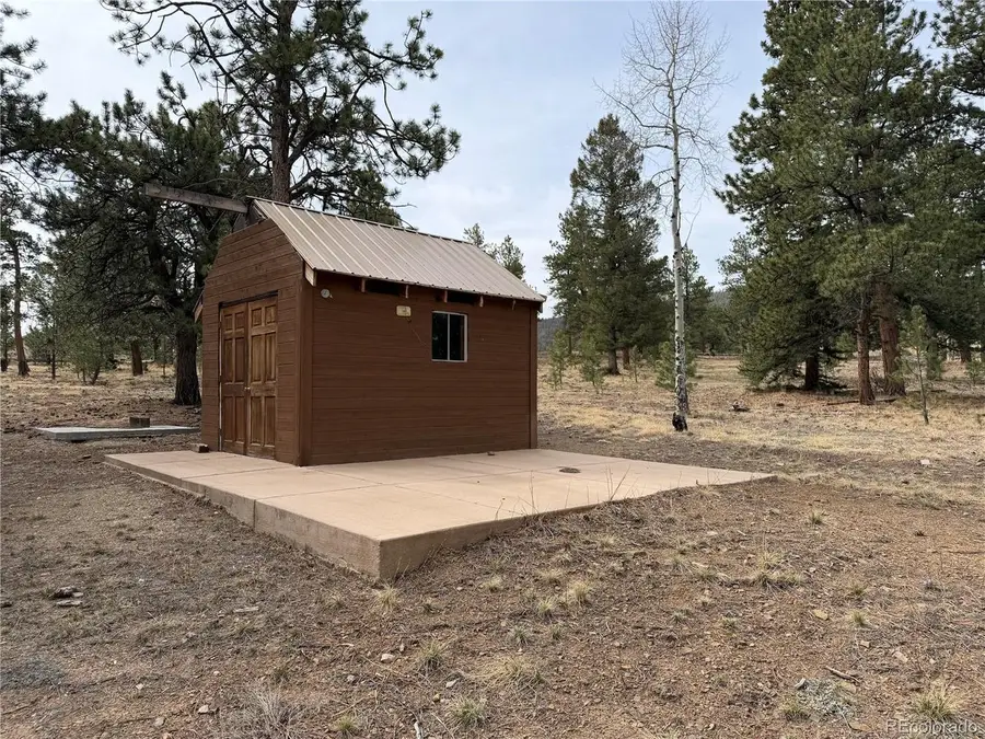 Chubb Ct, Buena Vista, CO 81211 - #3