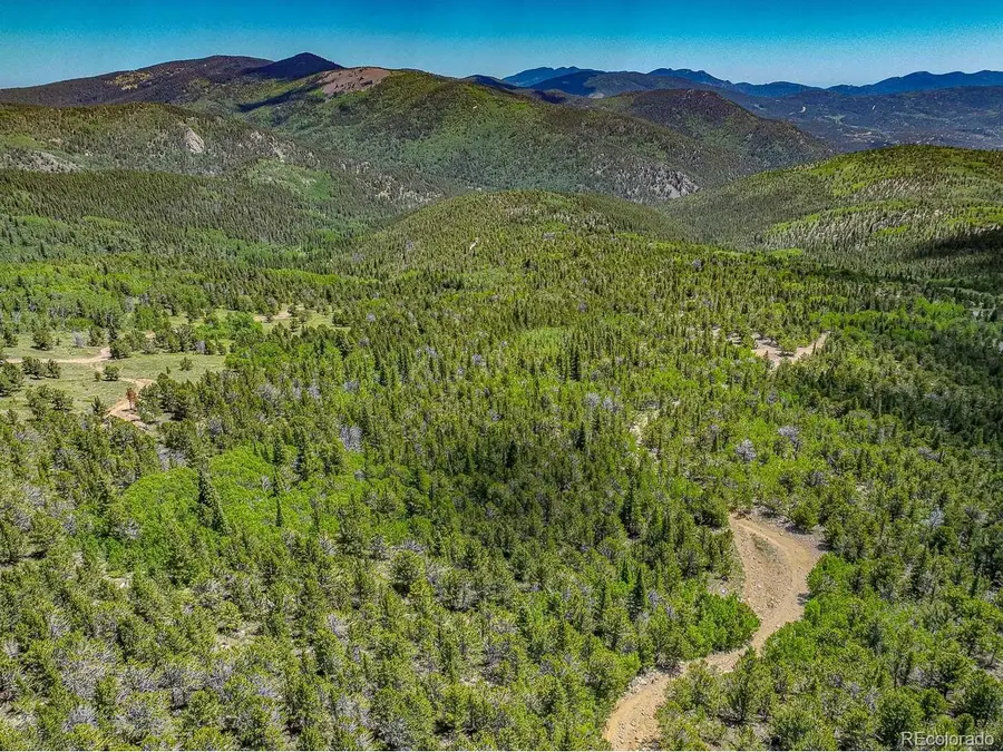 123 Yankee Hill Trl, Black Hawk, CO 80427 - #2