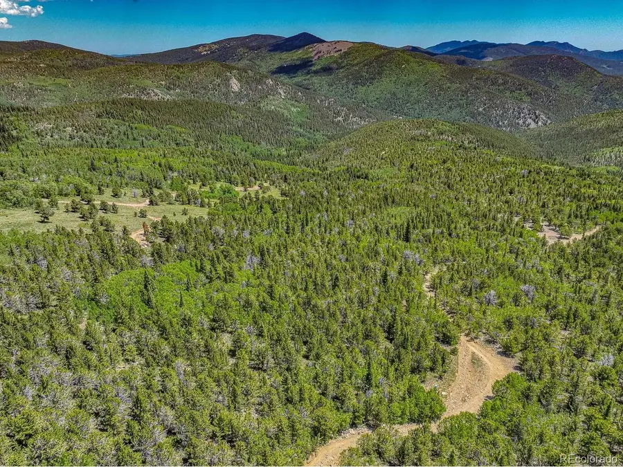 123 Yankee Hill Trl, Black Hawk, CO 80427 - #3