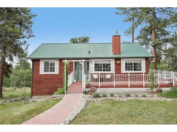 278 Overlook Dr, Bailey, CO 80421