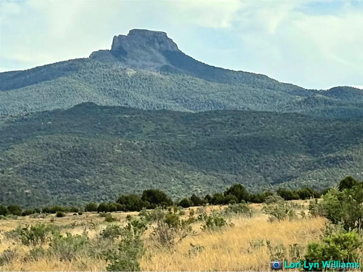 21 Bat Masterson Dr, Trinidad, CO 81082 - #1