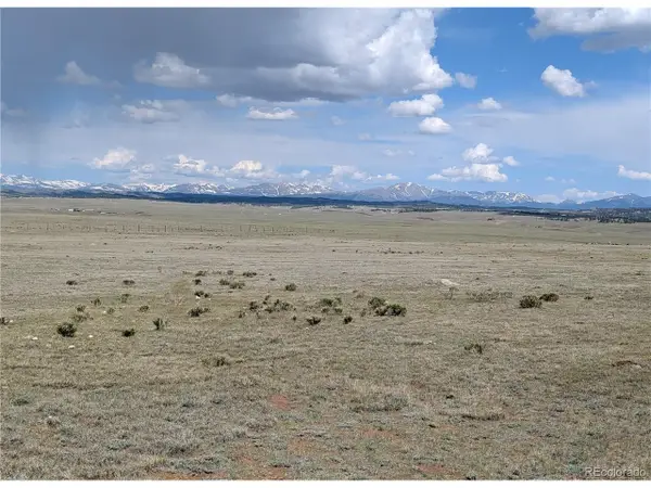 1920 Badger Basin Rd, Hartsel, CO 80449