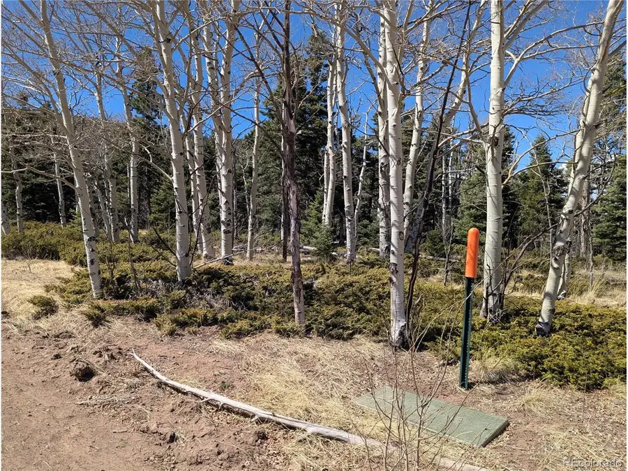 2938 Kemper Loop, Fort Garland, CO 81133 - #2