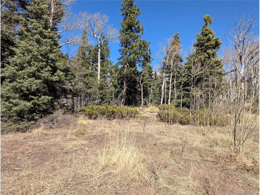 2938 Kemper Loop, Fort Garland, CO 81133 - #3