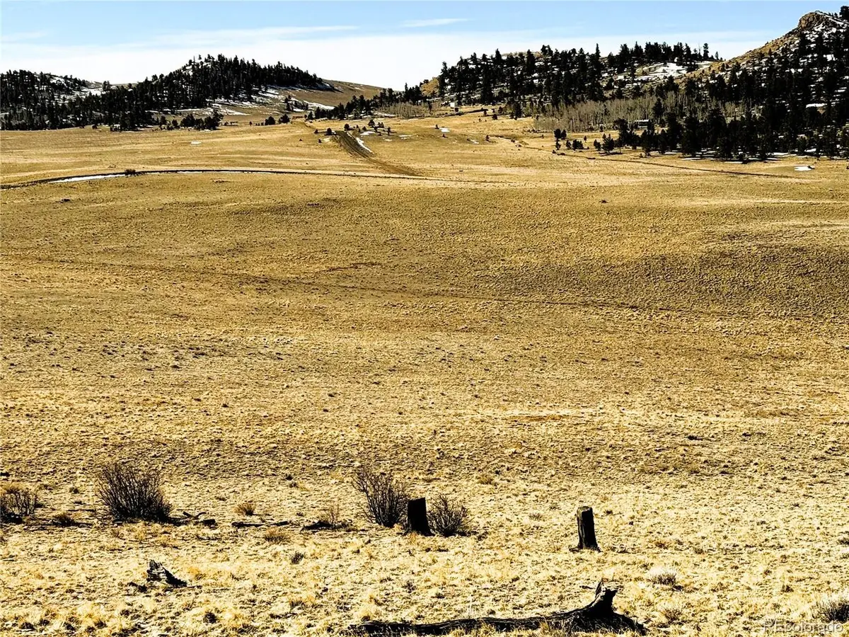 492 Chickamauga Trl, Hartsel, CO 80449 - #1