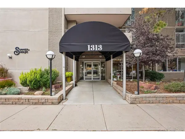 1313 N Williams St #405, Denver, CO 80218