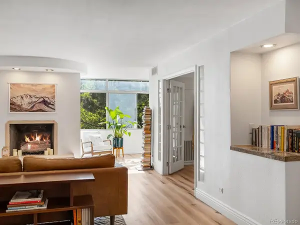 1313 N Williams St #503, Denver, CO 80218