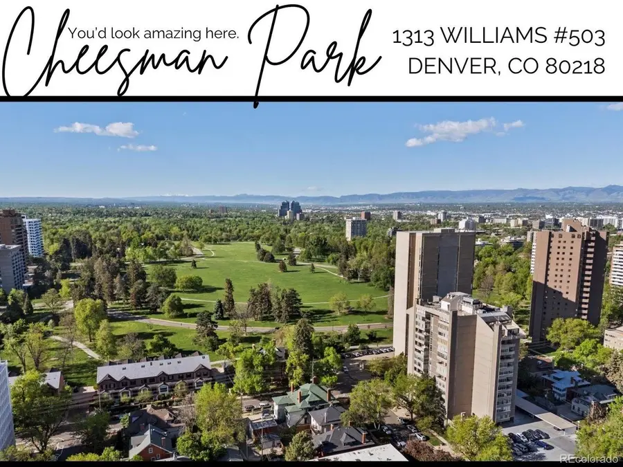 1313 N Williams St #503, Denver, CO 80218 - #2