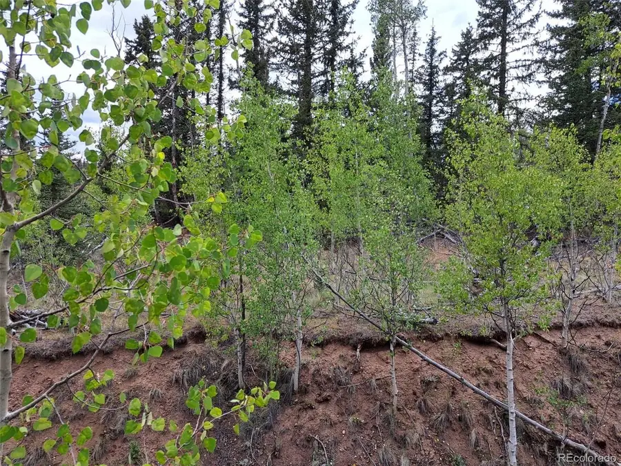 6206 Remington Rd, Como, CO 80432 - #2