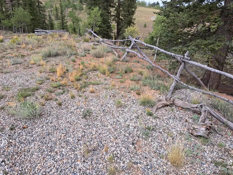 6206 Remington Rd, Como, CO 80432 - #3