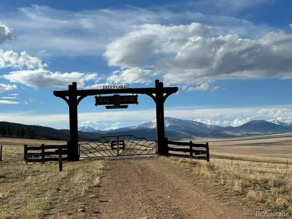 0 County Road 7, Fairplay, CO 80440