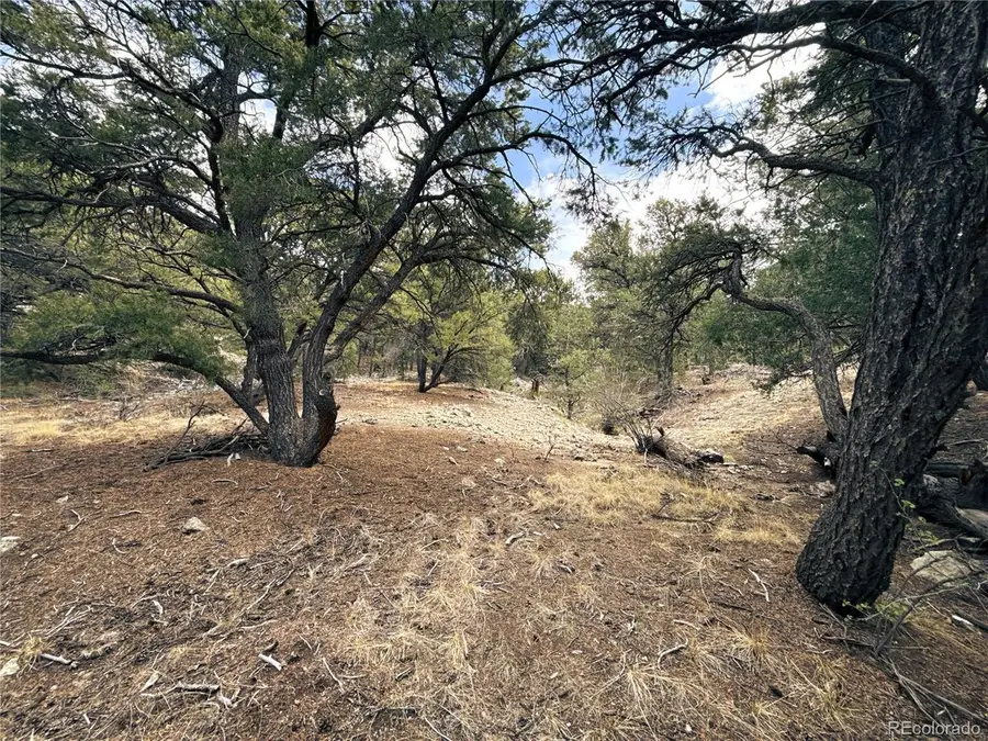 189 Cedar Ridge Rd, Mosca, CO 81146 - #3