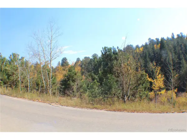 2012 Shelton Dr, Bailey, CO 80421