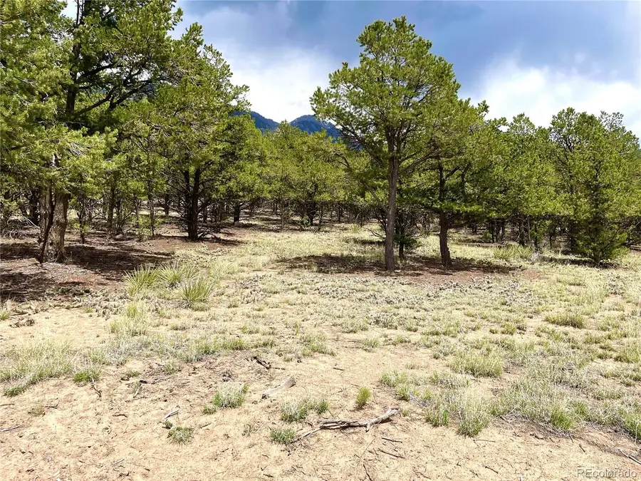 5 Philleo Way, Crestone, CO 81131 - #3