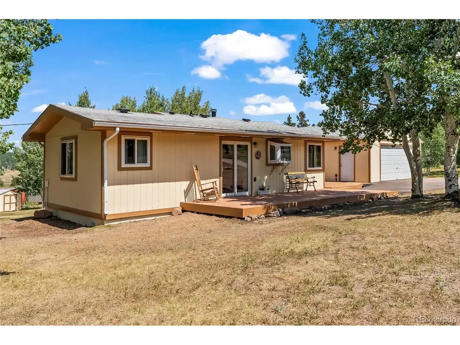 215 Will Scarlet Dr, Divide, CO 80814 - #3