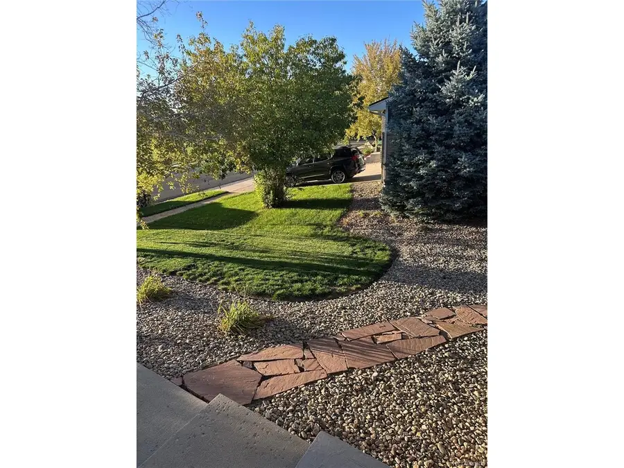 650 Wind Rower Ct, Brighton, CO 80601 - #3