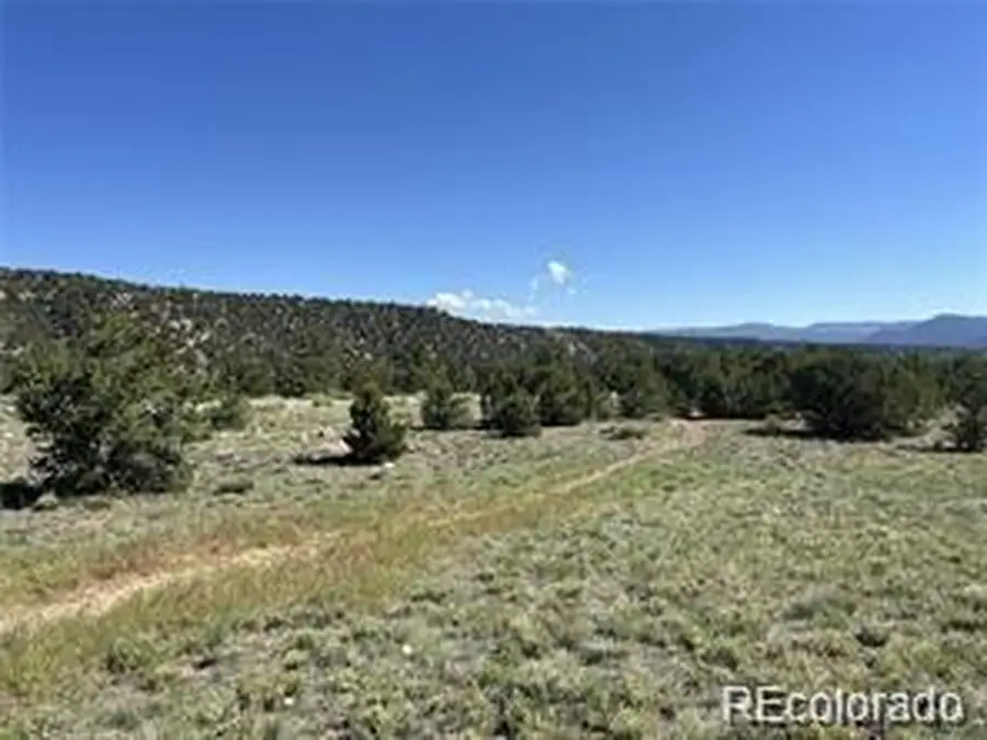 14973 Chalk Creek Dr, Nathrop, CO 81236 - Image #2